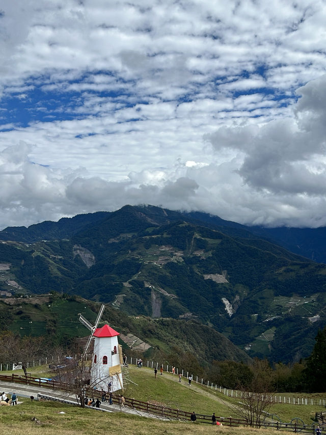 🌿台中清境農場｜台版紐西蘭🐑⛰️