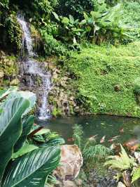 คาเฟ่ใกล้ฉัน ที่ต้องห้าม(พลาด) #ฟ้าหลังฝน