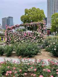 The Nakanoshima Rose Garden