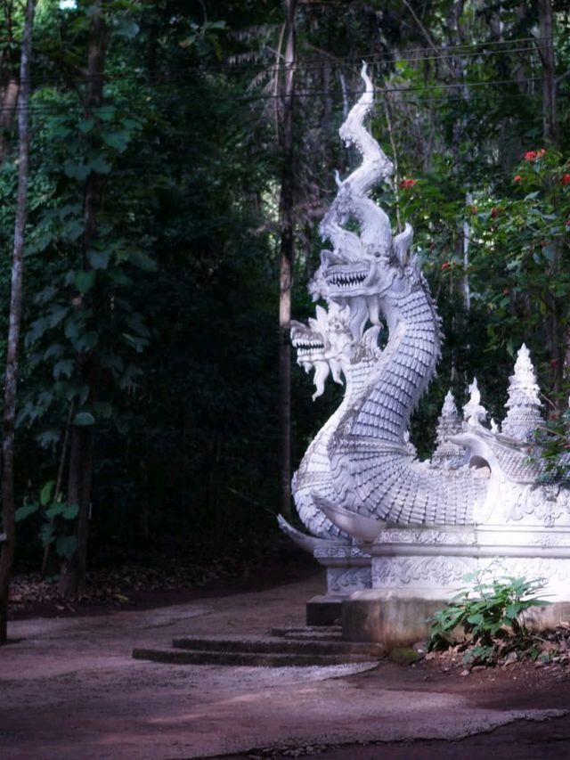 🍃วัดหลวงขุนวิน เชียงใหม่