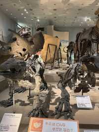 A Deep Exploration of Nature – My Visit to the Osaka Museum of Natural History 🦕