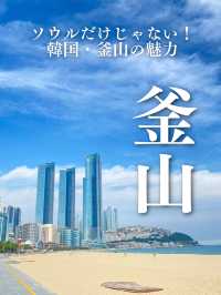 【ソウルだけじゃない！韓国・釜山の魅力🇰🇷】