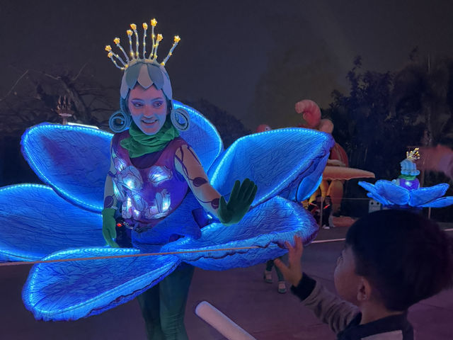 Dive into Fun at Chimelong Zhuhai! 🐠🎢🎉