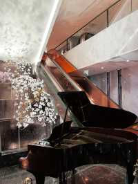 Orchard Hotel Singapore: The Perfect Summer Stay in the Heart of the City 