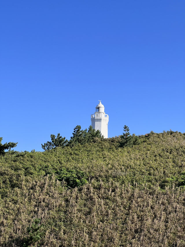 울진 오션뷰 숙소 온양리민박 🌊🏡