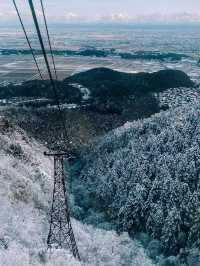 🚡空と海をつなぐ絶景旅「弥彦山ロープウェイ」で五感が満たされるひととき