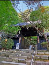 国宝・瑞龍寺で心洗われるひとときを✨富山・高岡の静寂旅
