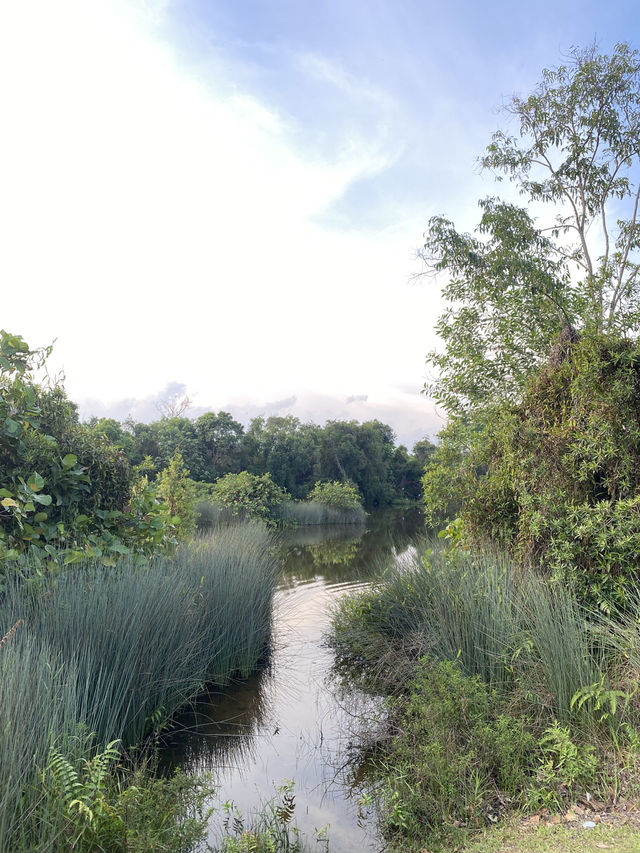 Evening Walks & Wind-Downs: My Chill Escape to Taman Tasik Cyberjaya