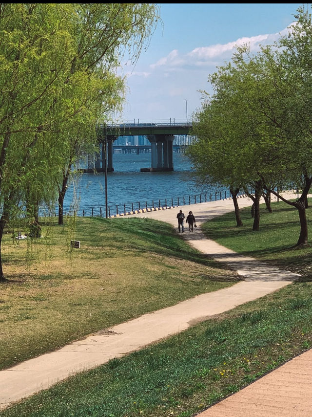 🏞️【漢江公園（Hangang Park）】ソウルの風を感じる川辺のオアシス