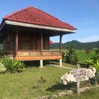 cozy and rustic accommodation that blends natural charm with a peaceful atmosphere