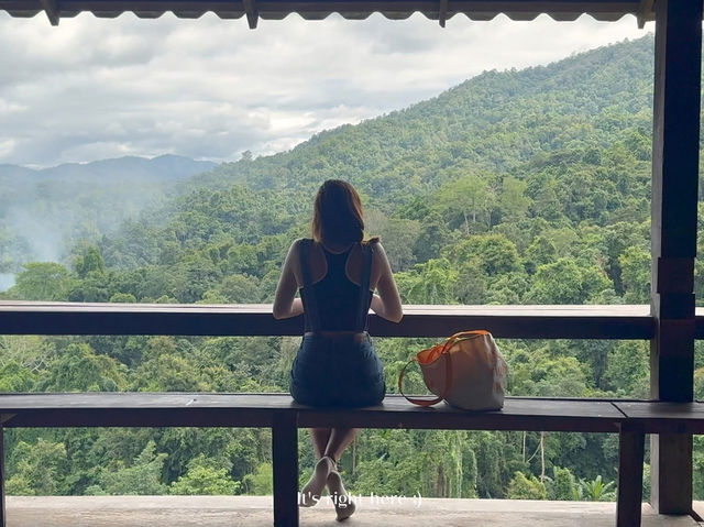 🌿☁️ “ไร่ชาลุงเดช” แม่แตง เชียงใหม่ 💚