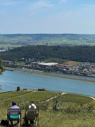 🚢A journey filled with spectacular views and history! A relaxing cruise experience on the Rhine River🌊