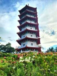 Fields of blooms at Cloud Pagoda, Chinese Garden