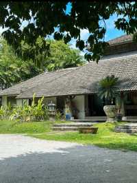 🐾First Meal in Langkawi – Cats, Grass & Chill at NAM Restaurant