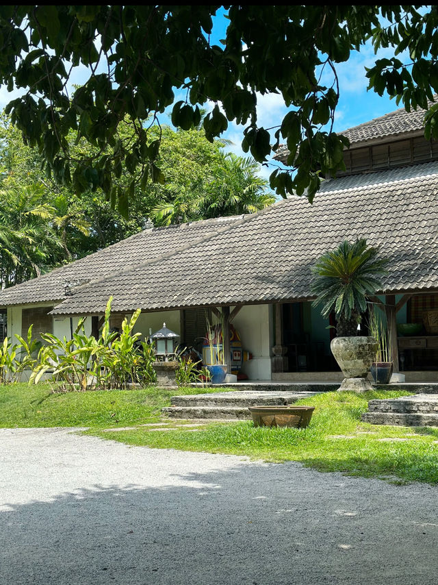 🐾First Meal in Langkawi – Cats, Grass & Chill at NAM Restaurant
