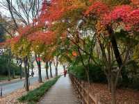 Green Escape at Daegu Arboretum