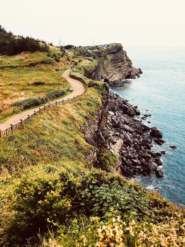  Jeju Island Summer Survival Guide