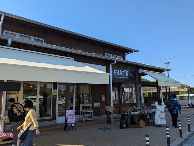 【海と山の恵みが集まる✨】道の駅むなかたで旬の味覚を満喫！