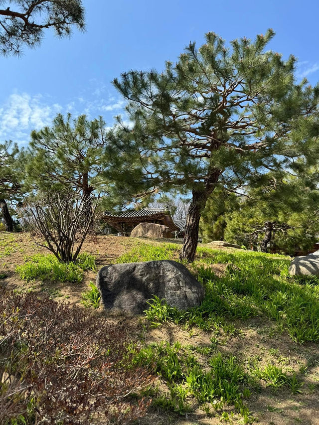 静かな時間が流れる場所、奉恩寺で心をリセット。🧘‍♀️✨