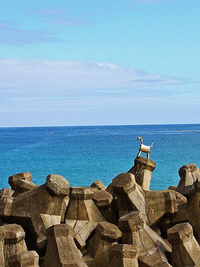 東海岸邊的阿美族聚落 一場與海共生的文化旅行