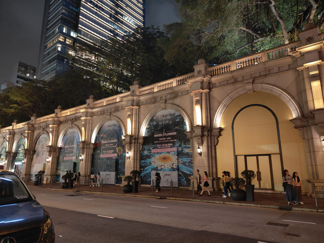 維港四件套安排走起👣
