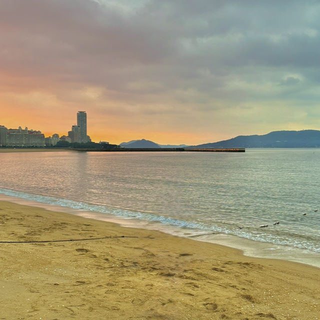 후쿠오카의 상징, 모모치 해변🌊🐳