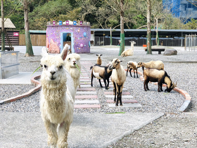 親子旅行好去處，宜蘭精靈村可愛又放電