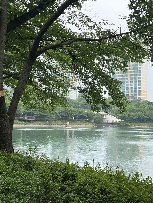 석촌 호수의 여름