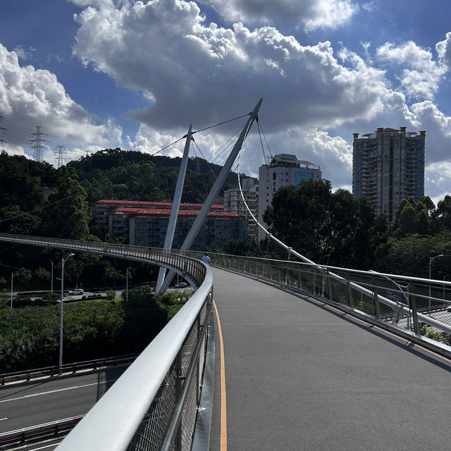  Harmony Bridge: Xiamen’s Skywalk Where Nature & Modern Design Embrace!