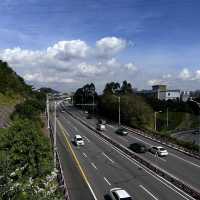  Harmony Bridge: Xiamen’s Skywalk Where Nature & Modern Design Embrace!