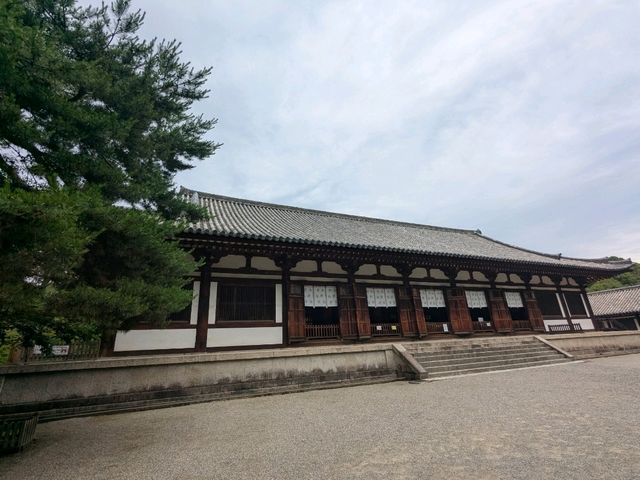 奈良 | 唐招提寺，走訪千年古剎