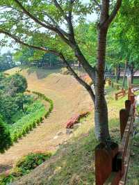 바다와 숲을 품은 데크 산책로, 온 가족 힐링 산책길 🌿🪑