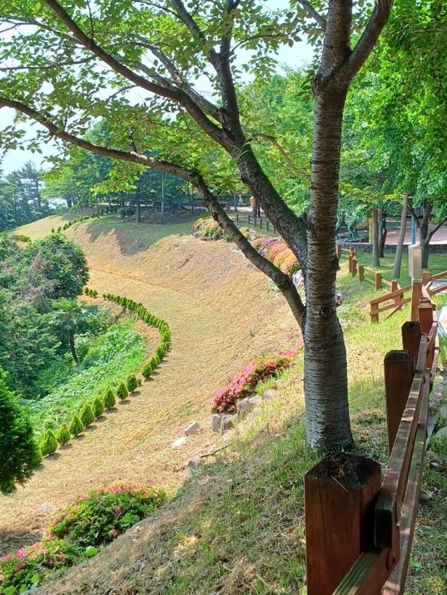 바다와 숲을 품은 데크 산책로, 온 가족 힐링 산책길 🌿🪑