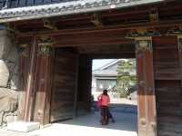 🏯 Matsumoto-jō Castle – Majestic, Peaceful, and Unforgettable