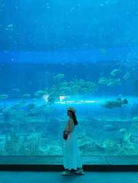 เที่ยวสวนสนุก Vinwonders Phu Quoc เวียดนาม