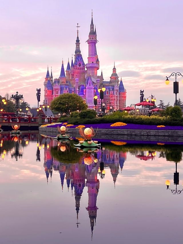 More Than a Kids’ Park: The All-Age Adventure of Shanghai Disneyland
