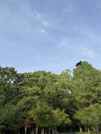 大阪城公園交通攻略｜探索名城必備指南