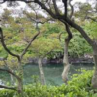 Summer Serenity at Yong Yeonjeong Garden