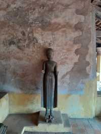Statues of Wat Si Saket