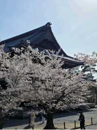 @ EIKANDO TEMPLE IN KYOTO.