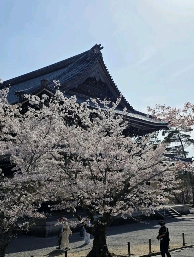 @ EIKANDO TEMPLE IN KYOTO.
