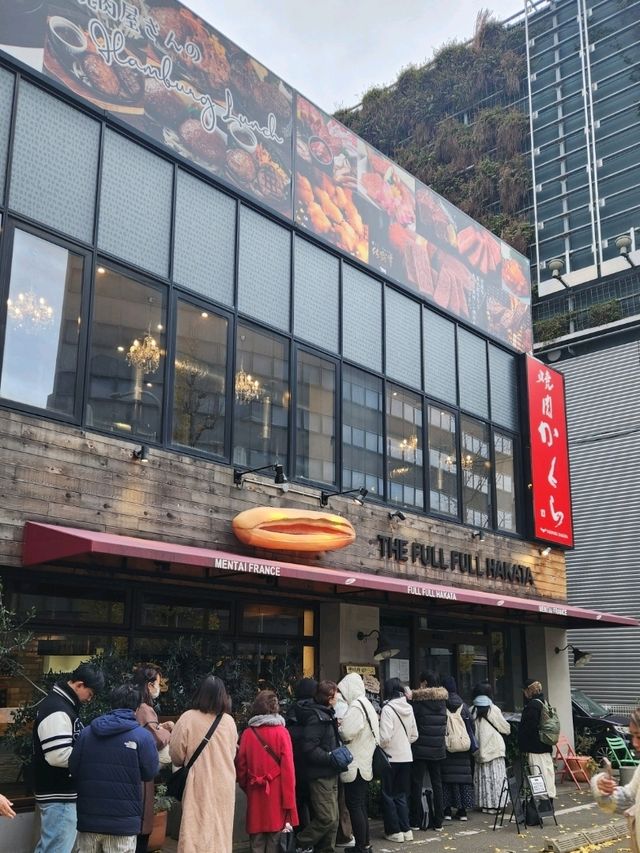 糸島自駕遊～