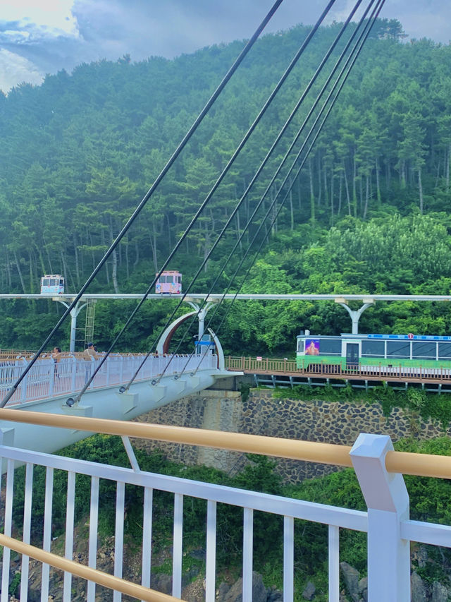 부산 바다 위를 걷는 여행지 소개☁️💙