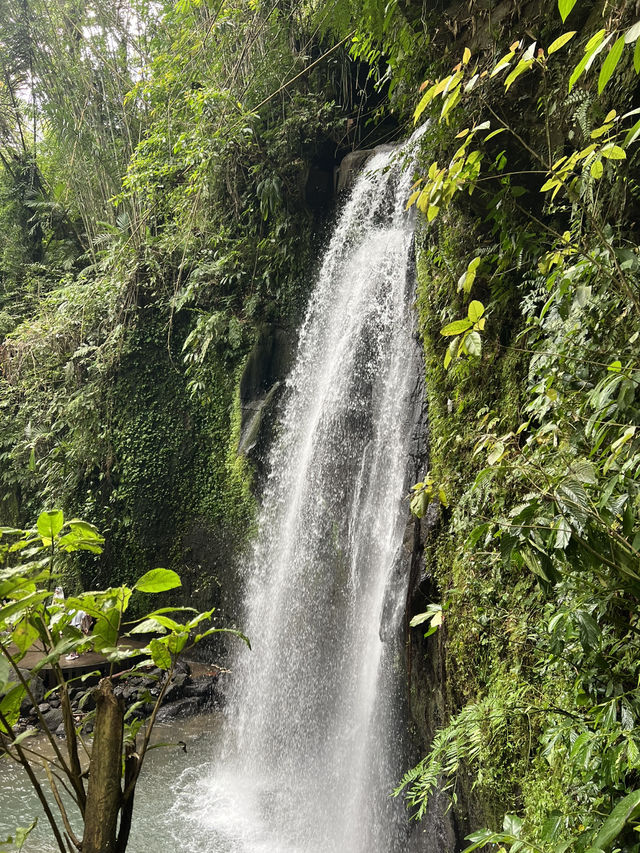 Don’t just stay in Ubud. Use it as a base camp to explore 🤩