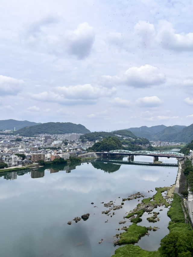 🏯犬山城｜日本國寶級的小而美城堡體驗