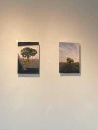 Cloud Gallery