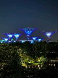 Neon Trees, Gardens by the Bay at Night