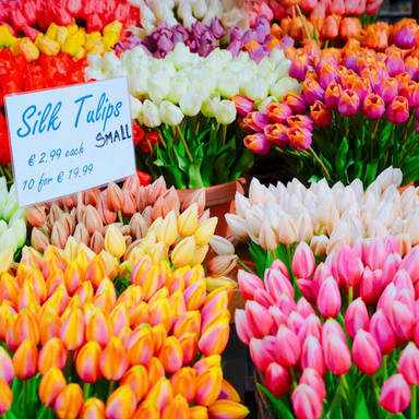 シンゲルの花市場🌷🇳🇱 | Trip.com アムステルダム