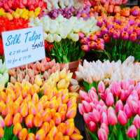 シンゲルの花市場🌷🇳🇱