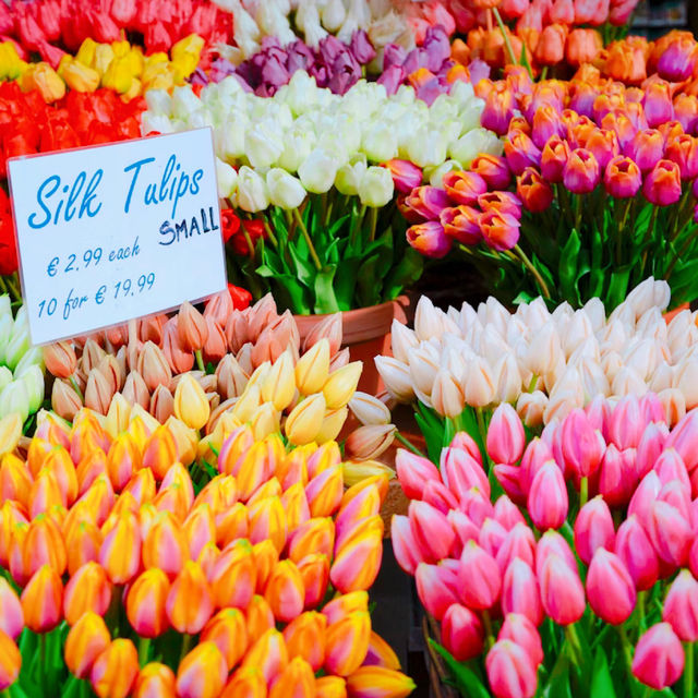 シンゲルの花市場🌷🇳🇱